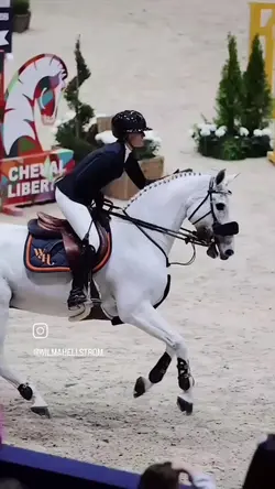 equestrian edit