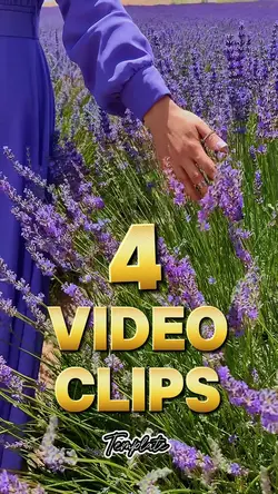 Video template 