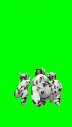 Crazy cows