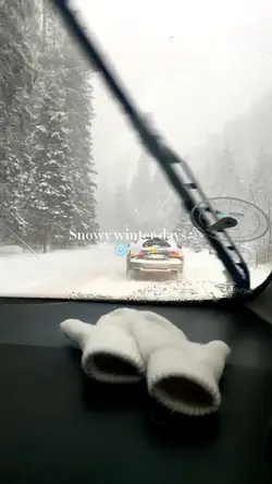 Snowy winter days 