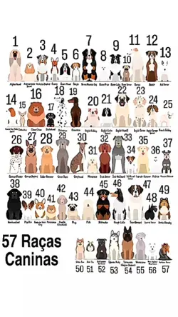 lista de dogs