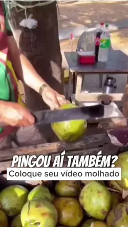 Côco molhando. 