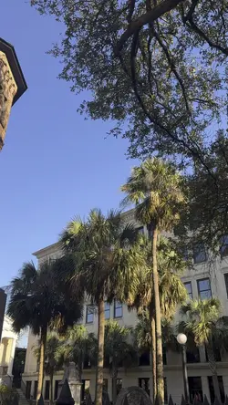 charleston edition