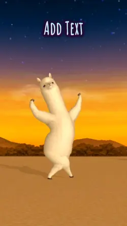 Alpaca Dancing 