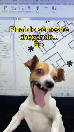 Meme 
