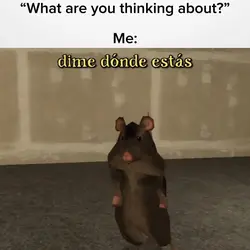Rat Dancing Template