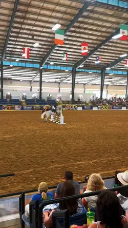 BreyerFest! 🐴