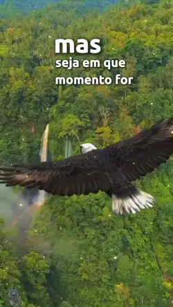 reflexão