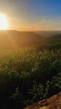 Momentos Na Natureza
