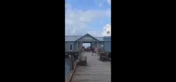 A day at the Pier