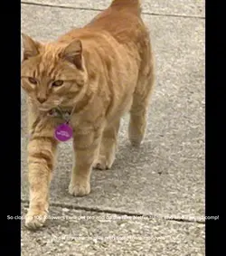 Idk