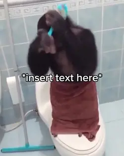 Monkey Combing Hair