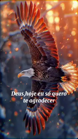 Gratidão  Deus 