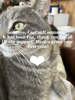 ʙʏᴇ!
