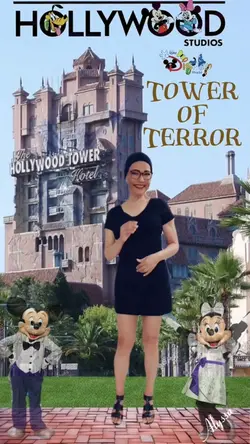 Disney Hollywood St