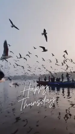 Happy Thursday ❤️