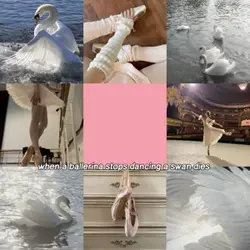 Ballerina 🩰 