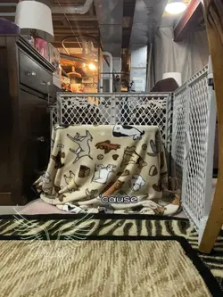 Dogpogogogoogogo 