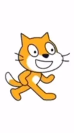 Scratch cat