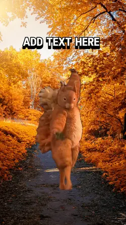 Autumn is Here