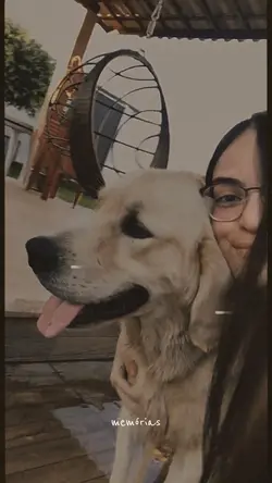 memórias/momentos ❤️🩹