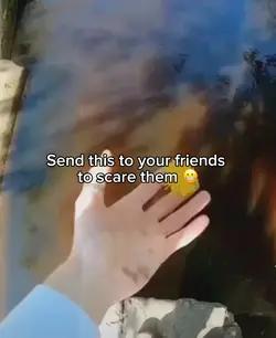 Spider scare 