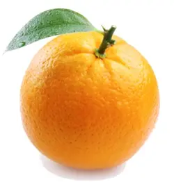 Orange 🥺