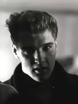 Elvis Fan 