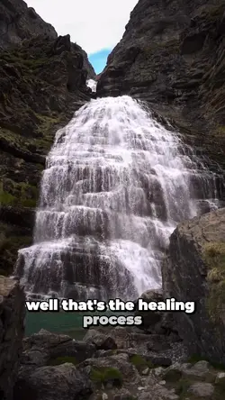 Healing Proces