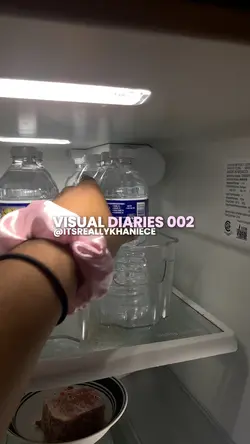 visual diaries 2.0🪩🎀