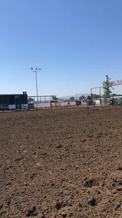 Rodeo barrel run