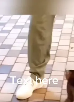 Crazy cat meme 