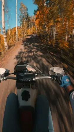 Fall cinematic 