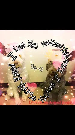 Love you so