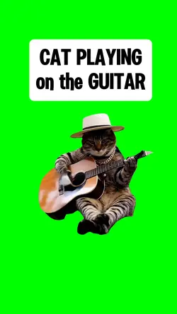 CAT PLAYING