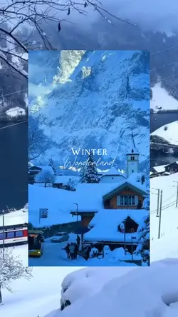 Winter wonderland