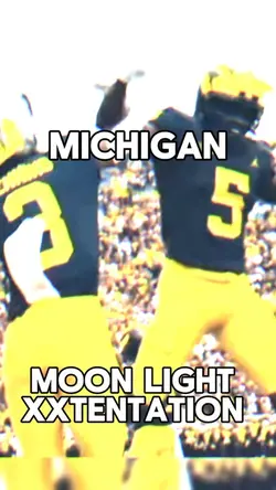 Michigan moonlight 