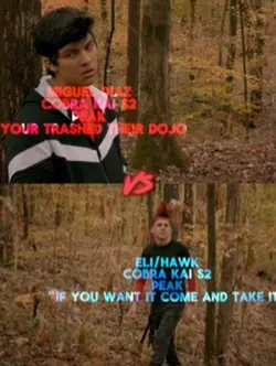 Moguel vs hawk 