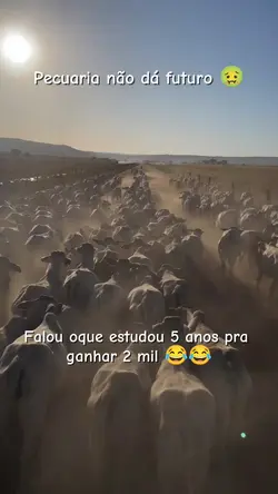 blz entt kkkkk