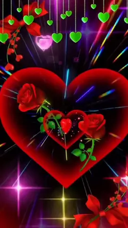 12 rosas