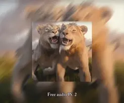 Free Audio Pt.2
