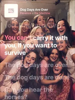 Dog Days Are Over