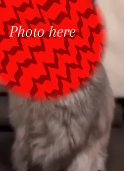 That’s one friend 
