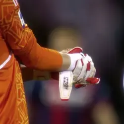 Free szczesny edit