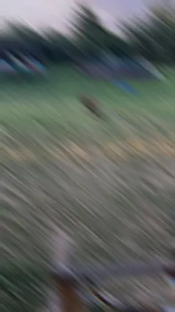 Slow reverse 