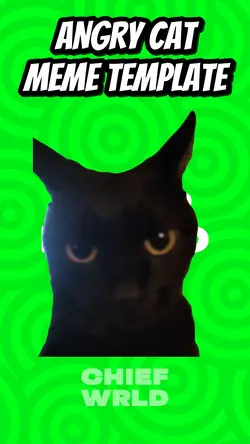 Angry Cat Meme