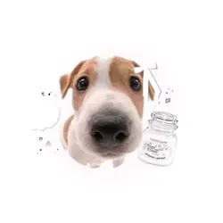 𝐎 𝗏𝗂𝗇𝖼𝖾 𝗆𝗇??