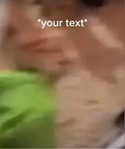 Cat meme