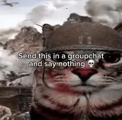 Cats edit