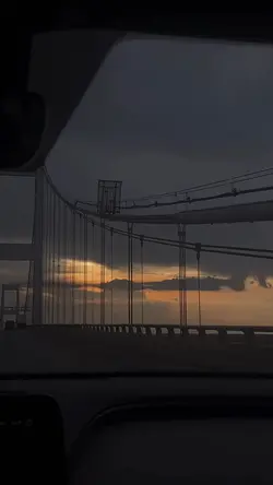 Video dump